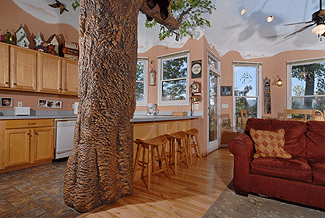 kitchen with a stove and microwave