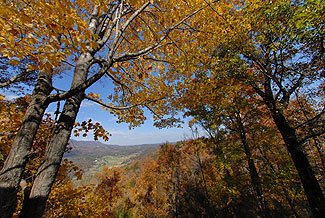 smoky mountain fall view