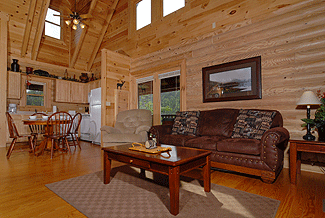 cabin with livingroom