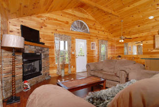 cabin with an open livingroom