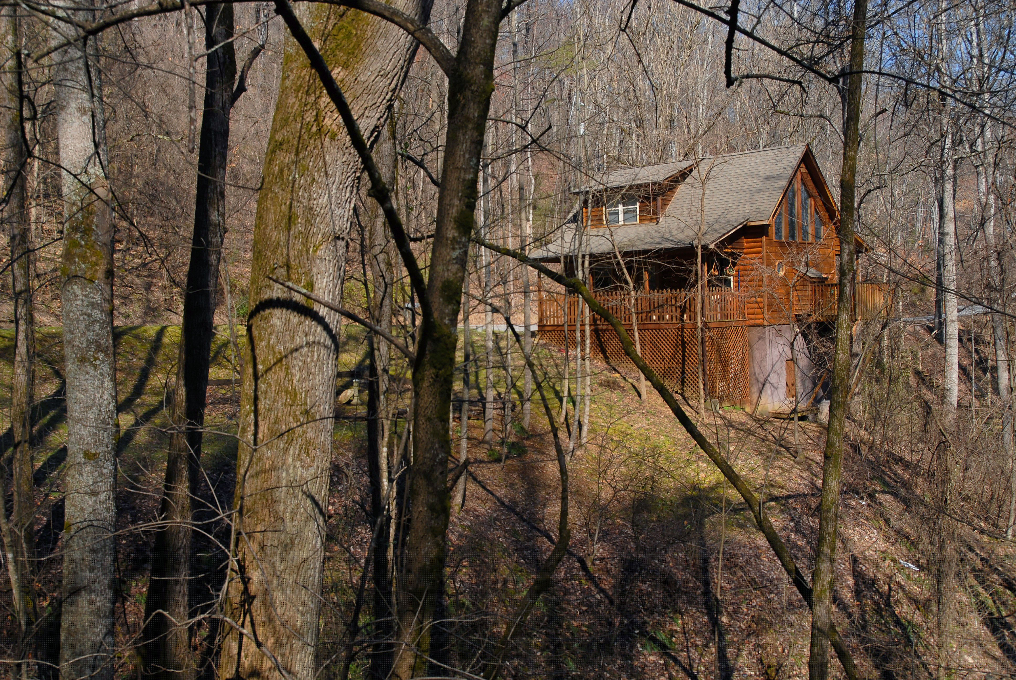 Pigeon Forge Private One Bedroom Cabin Rental
