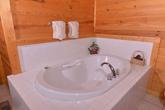 Pigeon Forge Cabin with a Main Level Bedroom with Master Suite Bathroom