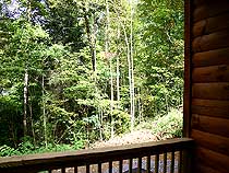 Private, wooded setting - close to town but away from it all