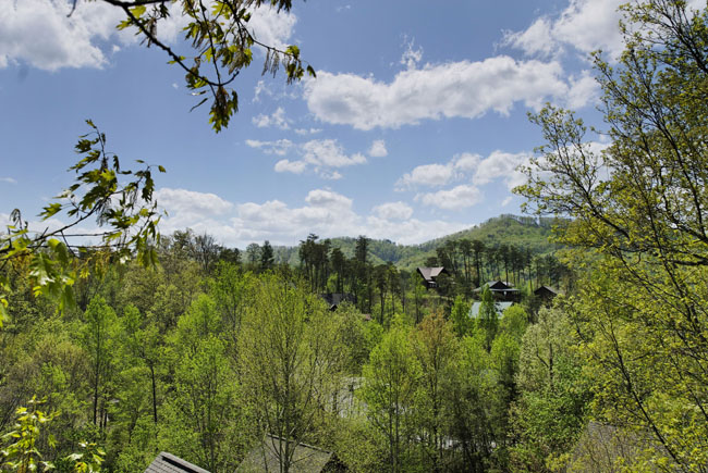 Pigeon Forge Wooded Chalet View
