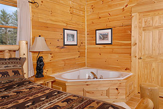 bedroom with whirlpool