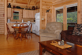 cabin kitchen and livingroom