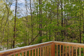 secluded deck with wooded view