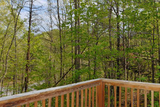 secluded deck with wooded view