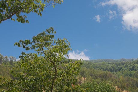 Pigeon Forge Cabinw with a wooded view