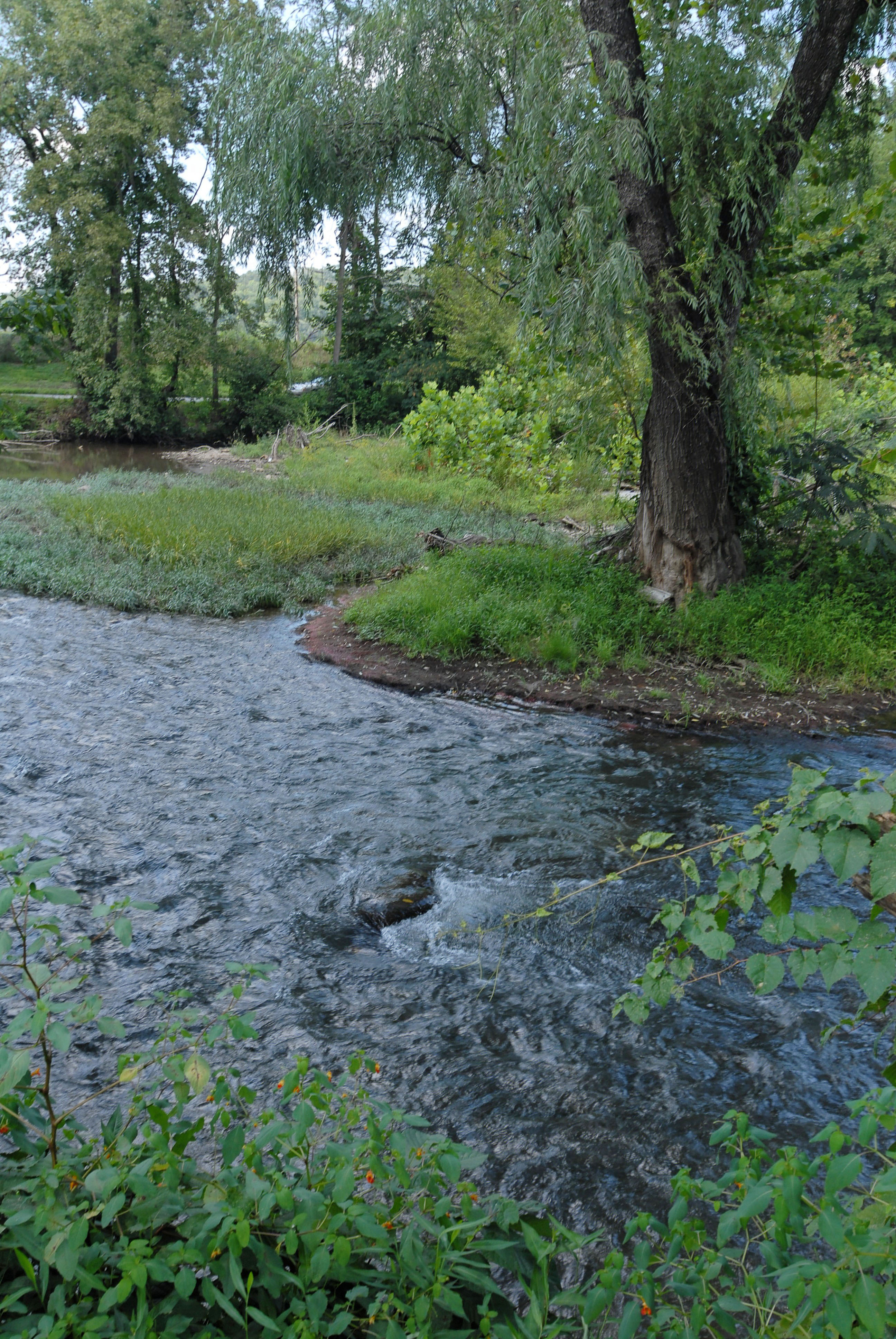 Tennessee Cottage Rental Directly located on the Little Pigeon River. Enjoy listening to the river from your outdoor deck