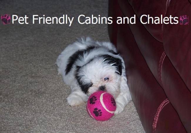 dog friendly chalets