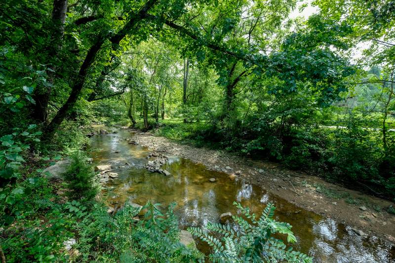 Lee's Creekside creek behind cabin