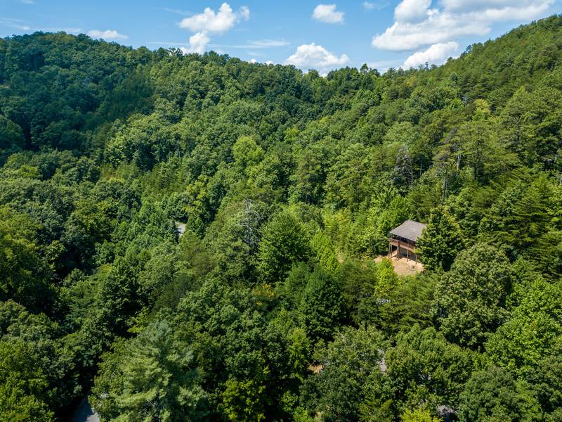 Bearfootin secluded mountain setting