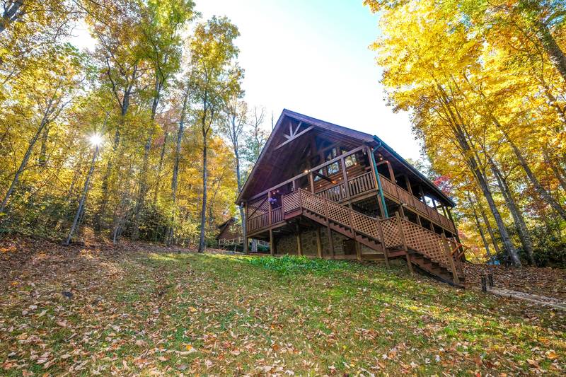 Bear Foots Cozy Cabin