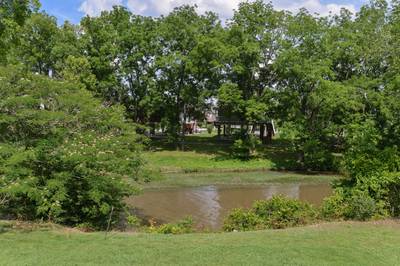 River Cabin located next to the Little Pigeon River