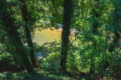 Striking Waters overlooking the Little Pigeon River