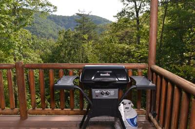 A Walk in the Clouds gas grill on lower level covered back deck