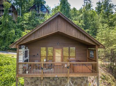 Cabin Fever covered back deck