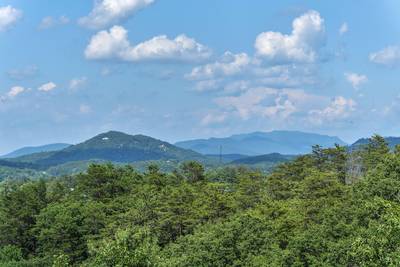 Cabin Fever mountain views