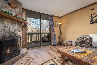 Rustic River living room and patio