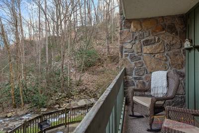 Rustic River back patio and stream