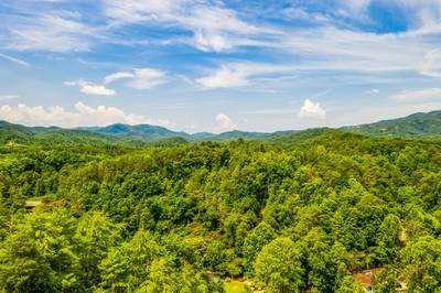 Bearadise Mountain Lodge mountain views