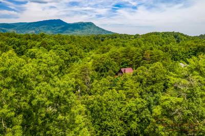 Bearadise Mountain Lodge arial view