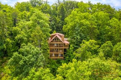 Bearadise Mountain Lodge arial view