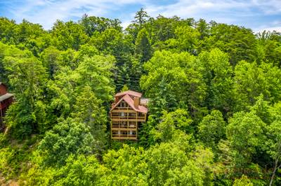 Bearadise Mountain Lodge arial view