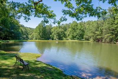 Caney Creek Resort catch and release fishing pond