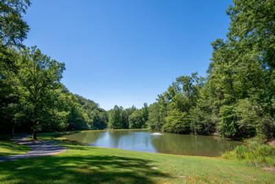 Caney Creek Resort catch and release fishing pond