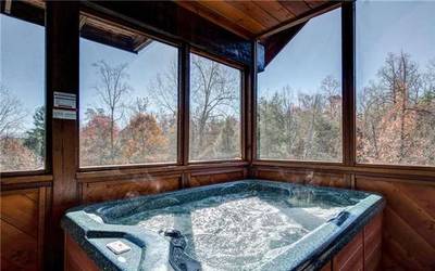 Another Day Inn Bearadise hot tub