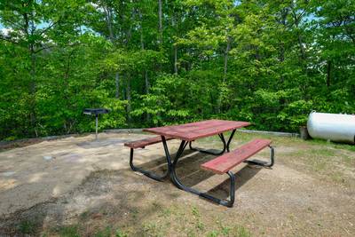 Secluded Summit back yard with picnic table