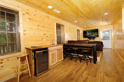 Timber Tree Lodge theater room