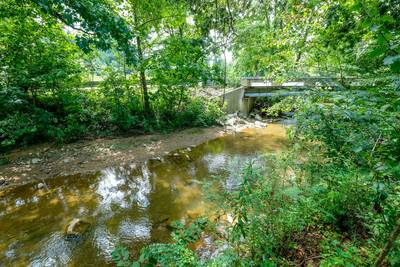 Lee's Creekside creek behind cabin