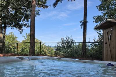 Fuzzy Bear view from the hot tub