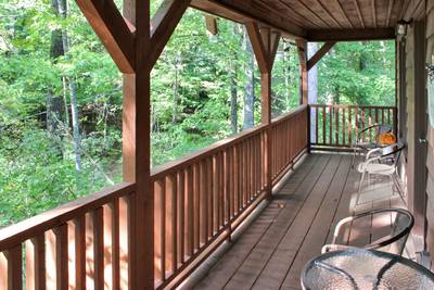 Fuzzy Bear main level covered back deck