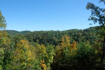 Wild Heart Lodge - Mountain Views