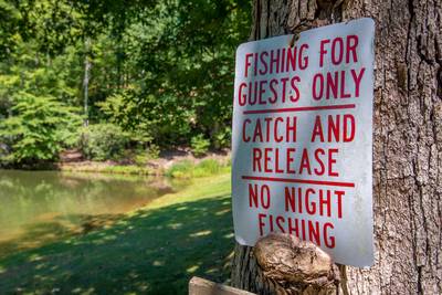 Caney Creek Mountain Area fully stocked catch and release fishing pond