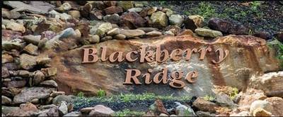 Spa Dee Dah located in Blackberry Ridge Resort