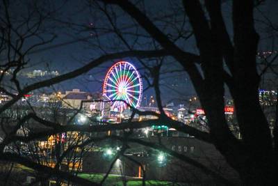 Inn The Vicinity view of the Island ferris wheel at night