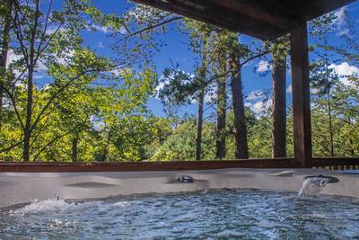 A Beary Good Time hot tub and view