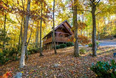 Bearfoots Cozy Cabin with covered wraparound deck