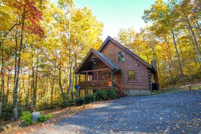 Bearfoots Cozy Cabin parking area