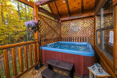 Bearfoots Cozy Cabin hot tub