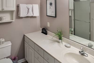 Alluring River Main Level bathroom 2 with walk in shower