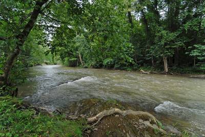 Henderson's Riverside is located next to the Little Pigeon River