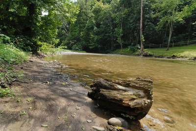 River Escape is located near the Little Pigeon River