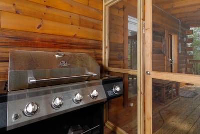 Gas Grill