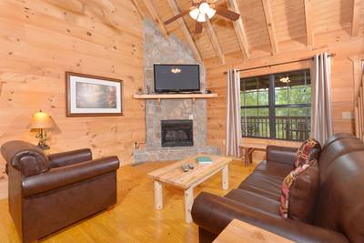 Beary Beary Special main level living room with seasonal gas fireplace